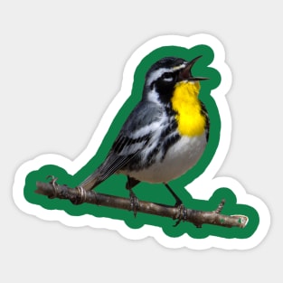 Yellow throated warbler Sticker